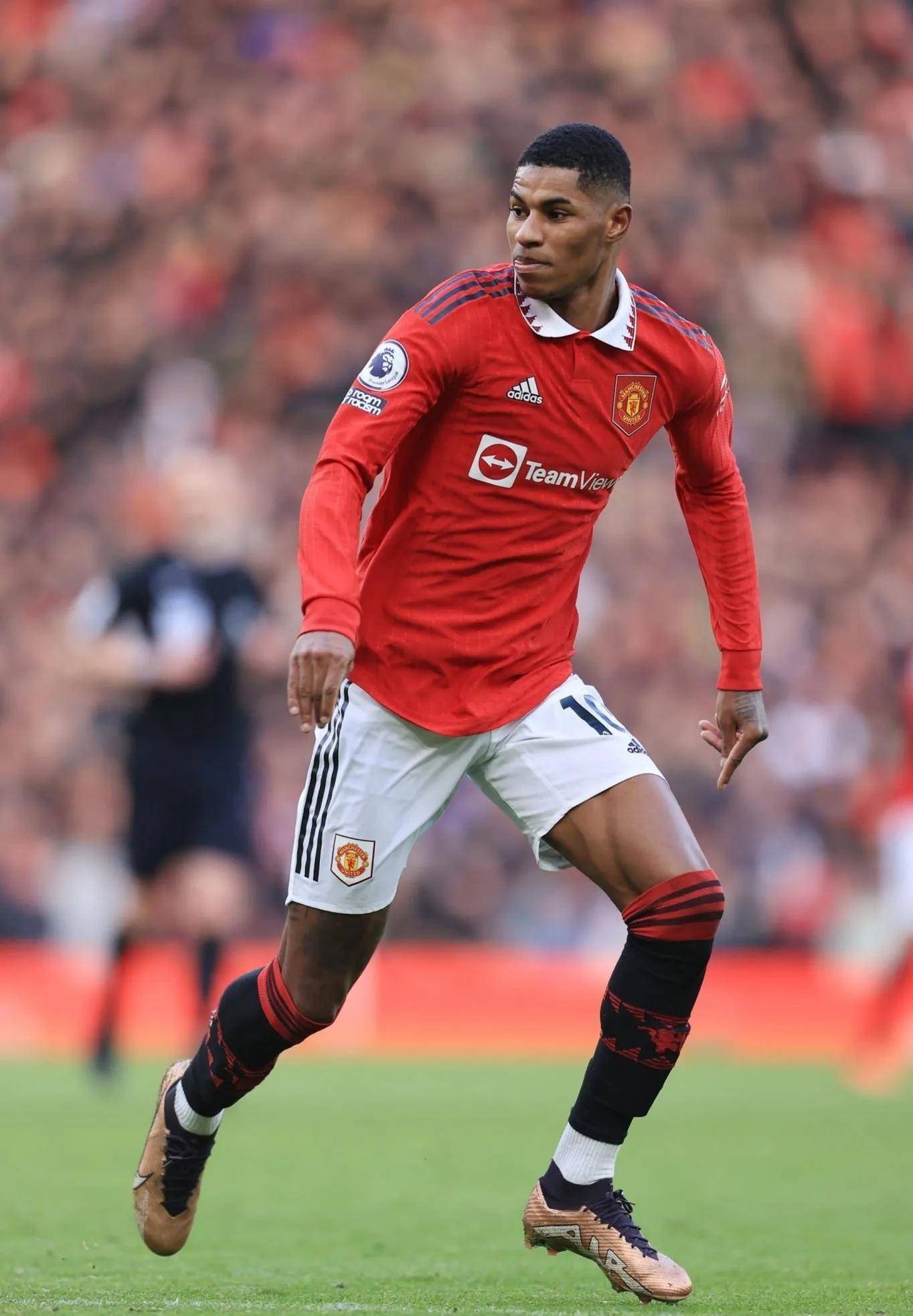 鹿也传来不 鹿也传来不