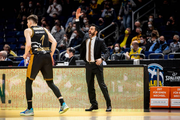 尼斯的篮球 尼斯的篮球