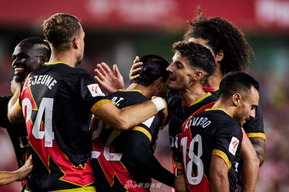 毛球国家队 毛球国家队